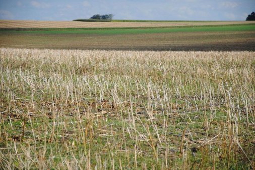 ​Аграрні розписки допоможуть житомирським сільгоспвиробникам успішно працювати